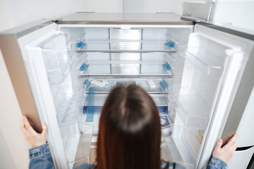 топ лучших холодильников